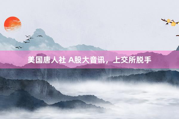 美国唐人社 A股大音讯，上交所脱手