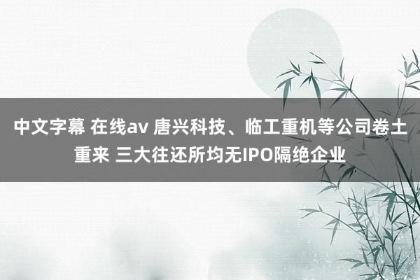 中文字幕 在线av 唐兴科技、临工重机等公司卷土重来 三大往还所均无IPO隔绝企业