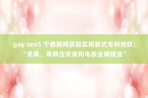 gay sex5 宁德期间获取实用新式专利授权：“夹具、等静压安装和电板坐褥建造”