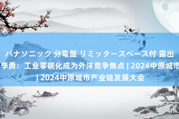 パナソニック 分電盤 リミッタースペース付 露出・半埋込両用形 李勇：工业零碳化成为外洋竞争焦点 | 2024中原城市产业链发展大会