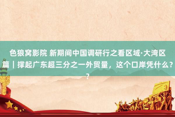 色狼窝影院 新期间中国调研行之看区域·大湾区篇｜撑起广东超三分之一外贸量，这个口岸凭什么？