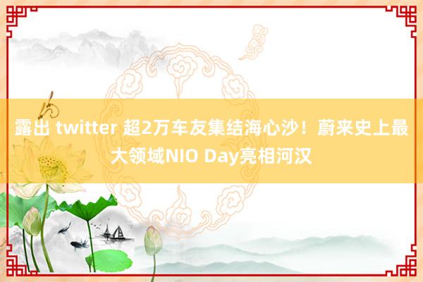 露出 twitter 超2万车友集结海心沙！蔚来史上最大领域NIO Day亮相河汉