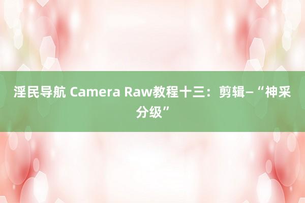 淫民导航 Camera Raw教程十三：剪辑—“神采分级”