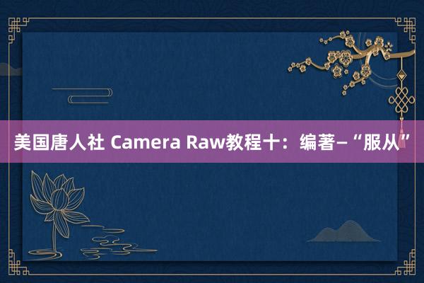美国唐人社 Camera Raw教程十：编著—“服从”
