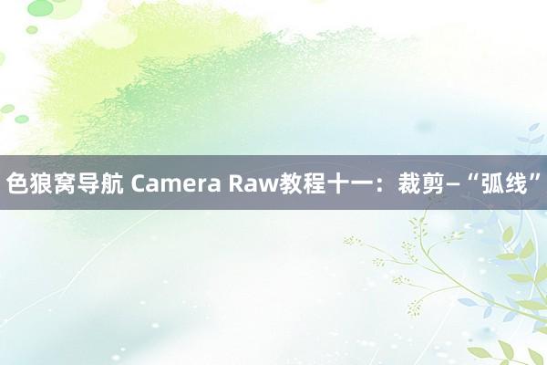 色狼窝导航 Camera Raw教程十一：裁剪—“弧线”