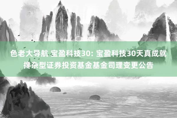 色老大导航 宝盈科技30: 宝盈科技30天真成就搀杂型证券投资基金基金司理变更公告