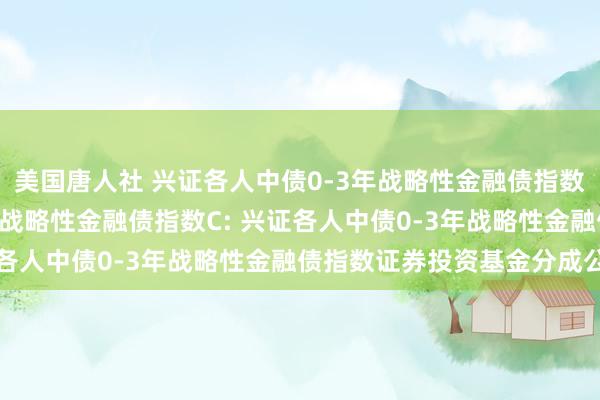 美国唐人社 兴证各人中债0-3年战略性金融债指数A,兴证各人中债0-3年战略性金融债指数C: 兴证各人中债0-3年战略性金融债指数证券投资基金分成公告