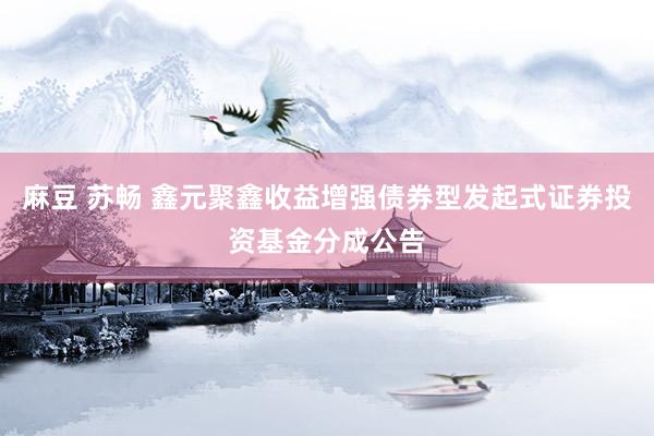 麻豆 苏畅 鑫元聚鑫收益增强债券型发起式证券投资基金分成公告