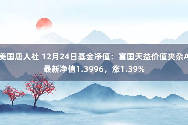 美国唐人社 12月24日基金净值：富国天益价值夹杂A最新净值1.3996，涨1.39%