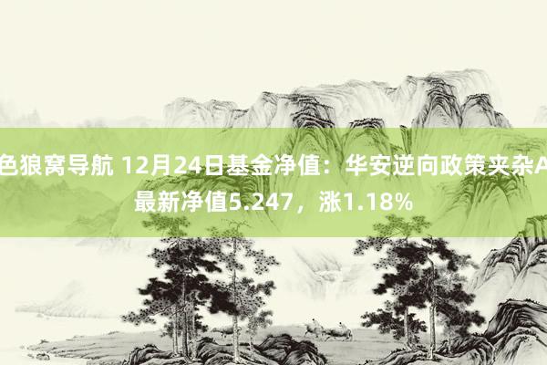 色狼窝导航 12月24日基金净值：华安逆向政策夹杂A最新净值5.247，涨1.18%