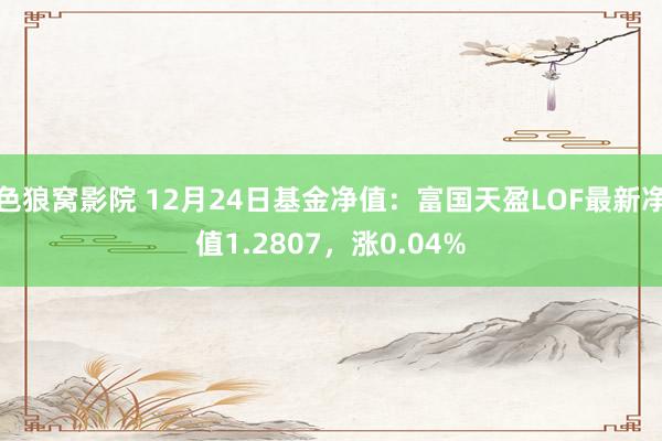 色狼窝影院 12月24日基金净值：富国天盈LOF最新净值1.2807，涨0.04%