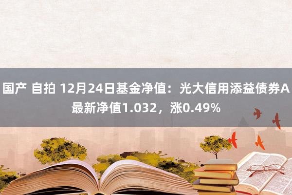 国产 自拍 12月24日基金净值：光大信用添益债券A最新净值1.032，涨0.49%