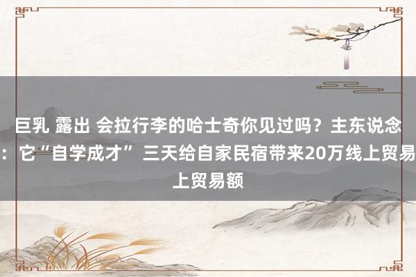 巨乳 露出 会拉行李的哈士奇你见过吗？主东说念主：它“自学成才” 三天给自家民宿带来20万线上贸易额