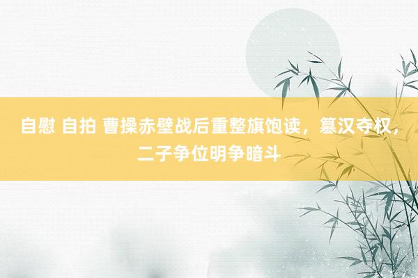 自慰 自拍 曹操赤壁战后重整旗饱读，篡汉夺权，二子争位明争暗斗