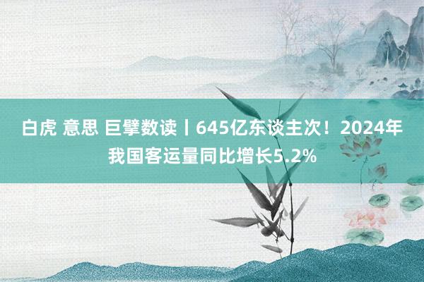 白虎 意思 巨擘数读丨645亿东谈主次！2024年我国客运量同比增长5.2%