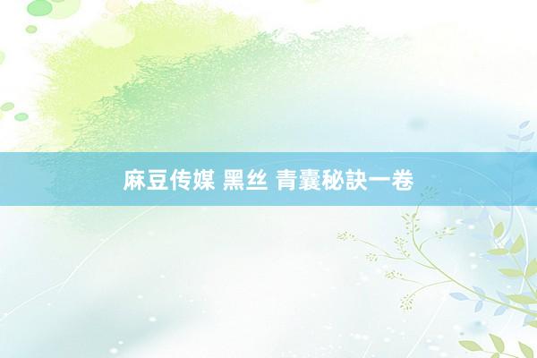 麻豆传媒 黑丝 青囊秘訣一卷
