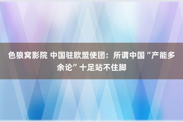 色狼窝影院 中国驻欧盟使团：所谓中国“产能多余论”十足站不住脚