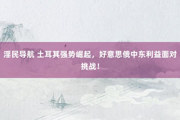 淫民导航 土耳其强势崛起，好意思俄中东利益面对挑战！