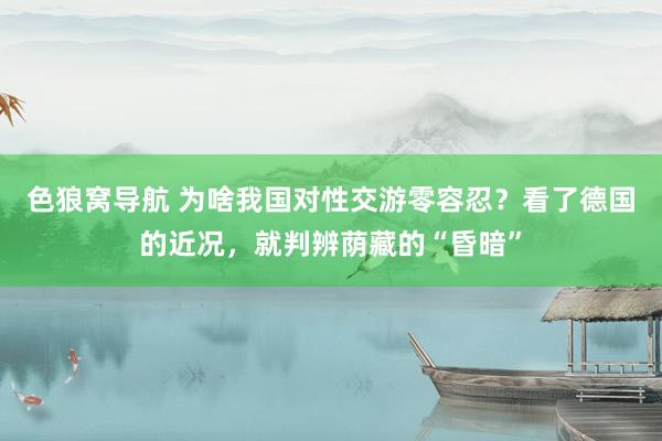 色狼窝导航 为啥我国对性交游零容忍？看了德国的近况，就判辨荫藏的“昏暗”