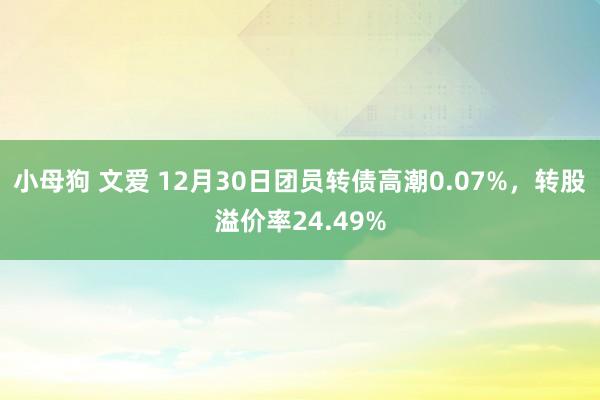 小母狗 文爱 12月30日团员转债高潮0.07%，转股溢价率24.49%