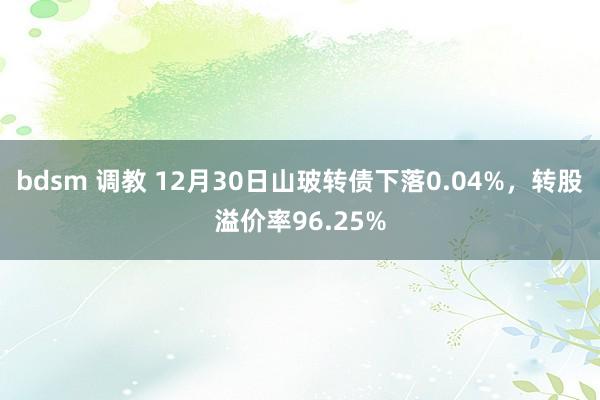 bdsm 调教 12月30日山玻转债下落0.04%,转股溢价率96.25%