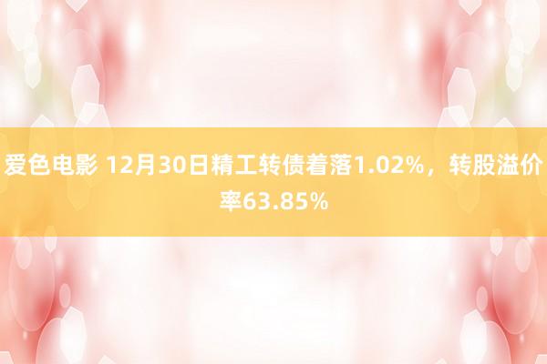 爱色电影 12月30日精工转债着落1.02%，转股溢价率63.85%