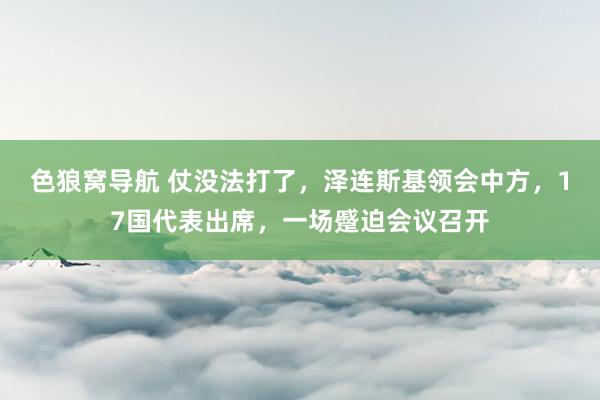 色狼窝导航 仗没法打了，泽连斯基领会中方，17国代表出席，一场蹙迫会议召开