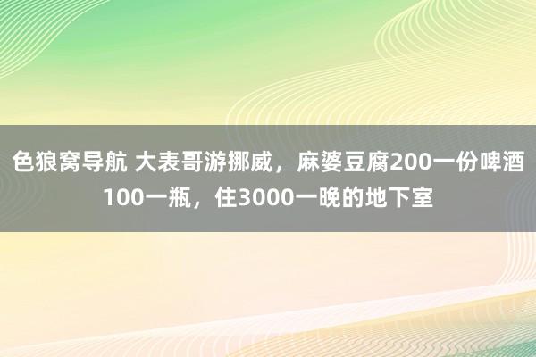 色狼窝导航 大表哥游挪威，麻婆豆腐200一份啤酒100一瓶，住3000一晚的地下室