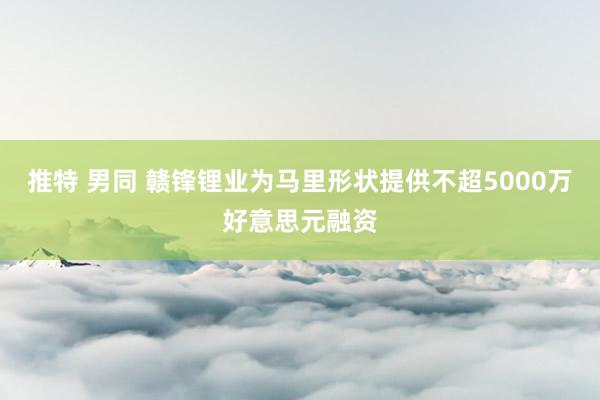 推特 男同 赣锋锂业为马里形状提供不超5000万好意思元融资