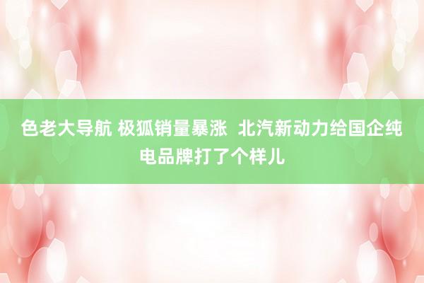 色老大导航 极狐销量暴涨  北汽新动力给国企纯电品牌打了个样儿
