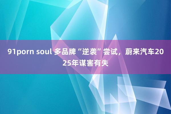 91porn soul 多品牌“逆袭”尝试，蔚来汽车2025年谋害有失