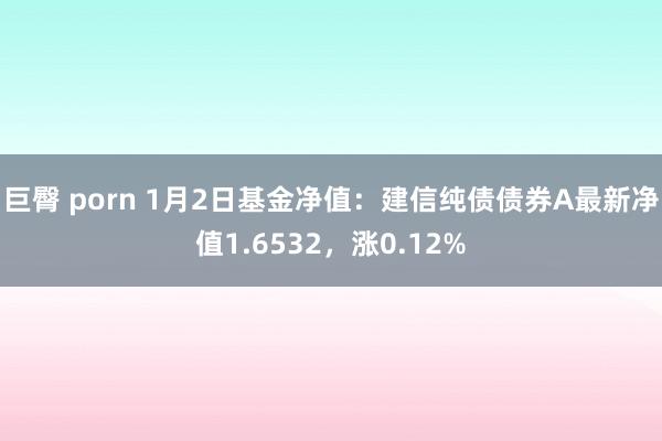 巨臀 porn 1月2日基金净值：建信纯债债券A最新净值1.6532，涨0.12%