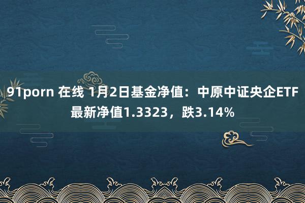 91porn 在线 1月2日基金净值：中原中证央企ETF最新净值1.3323，跌3.14%