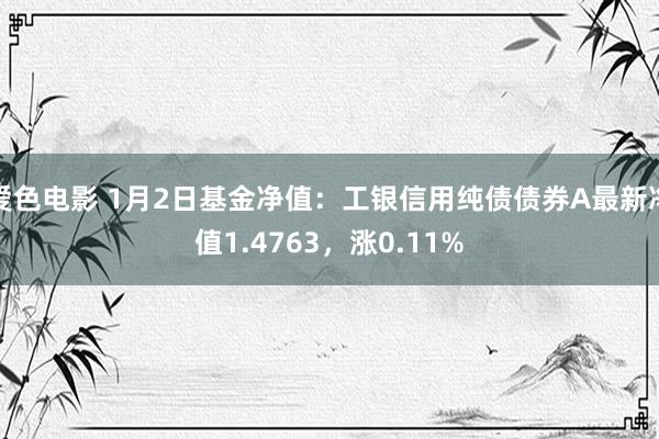 爱色电影 1月2日基金净值：工银信用纯债债券A最新净值1.4763，涨0.11%