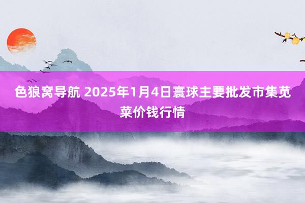 色狼窝导航 2025年1月4日寰球主要批发市集苋菜价钱行情