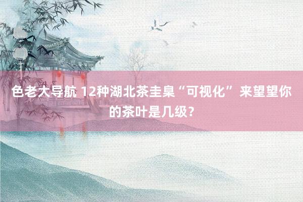 色老大导航 12种湖北茶圭臬“可视化” 来望望你的茶叶是几级？