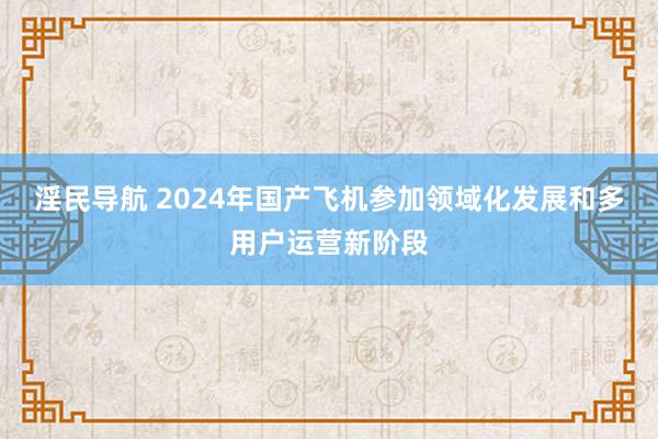 淫民导航 2024年国产飞机参加领域化发展和多用户运营新阶段