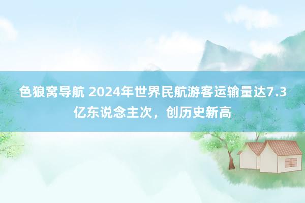 色狼窝导航 2024年世界民航游客运输量达7.3亿东说念主次，创历史新高