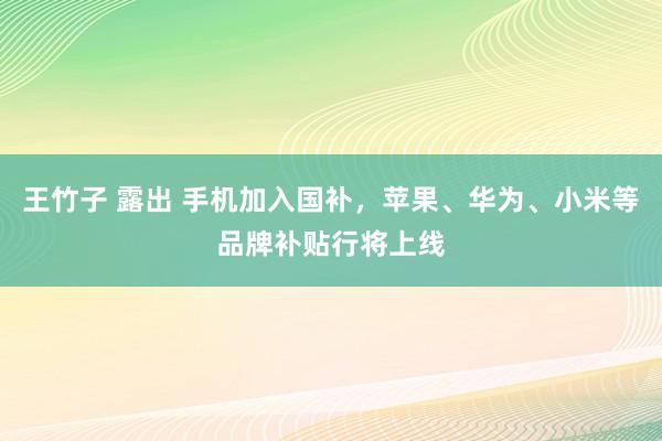 王竹子 露出 手机加入国补，苹果、华为、小米等品牌补贴行将上线