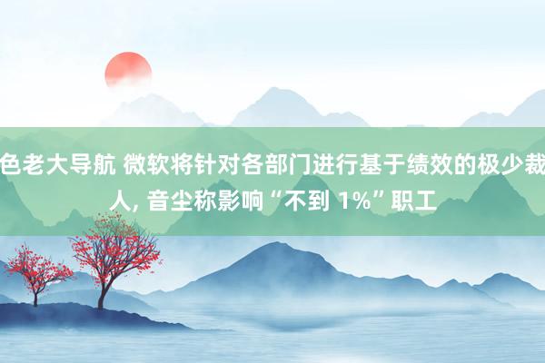 色老大导航 微软将针对各部门进行基于绩效的极少裁人， 音尘称影响“不到 1%”职工