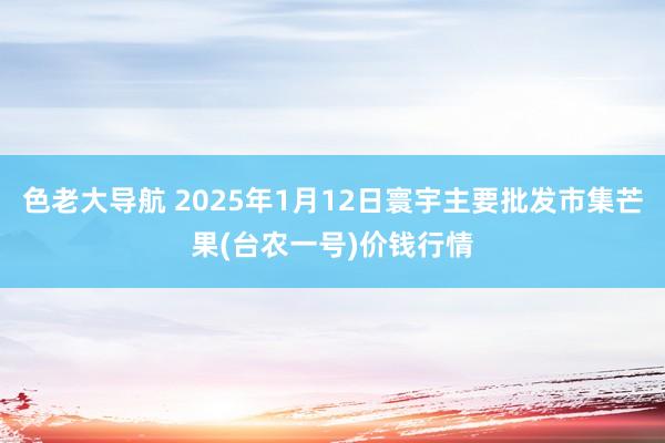 色老大导航 2025年1月12日寰宇主要批发市集芒果(台农一号)价钱行情