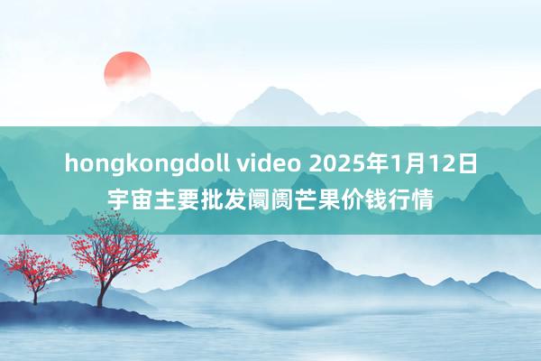 hongkongdoll video 2025年1月12日宇宙主要批发阛阓芒果价钱行情