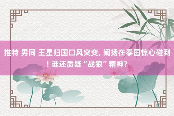 推特 男同 王星归国口风突变， 阐扬在泰国惊心碰到! 谁还质疑“战狼”精神?