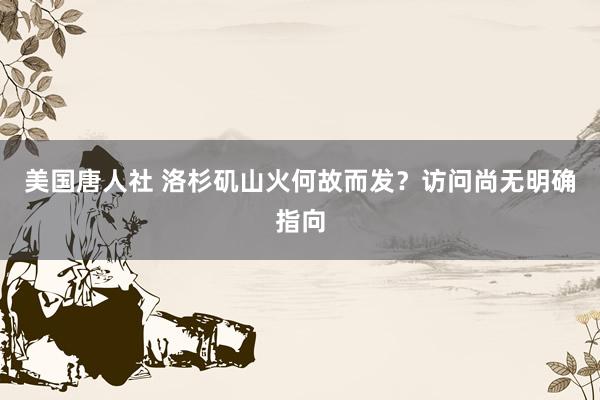 美国唐人社 洛杉矶山火何故而发？访问尚无明确指向
