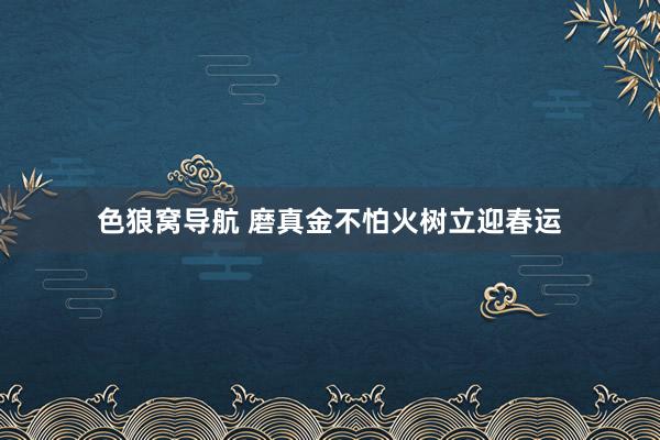 色狼窝导航 磨真金不怕火树立迎春运