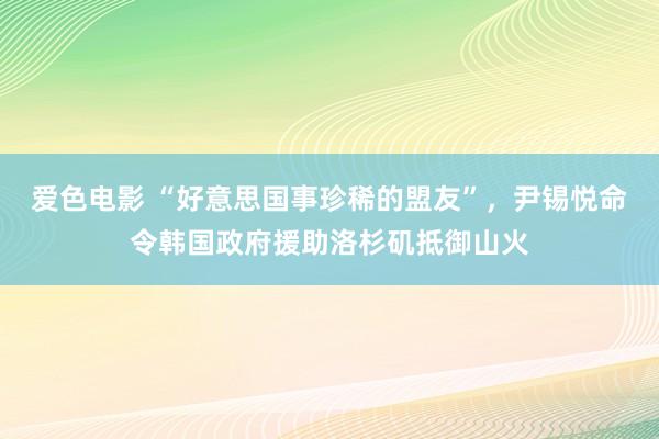 爱色电影 “好意思国事珍稀的盟友”，尹锡悦命令韩国政府援助洛杉矶抵御山火