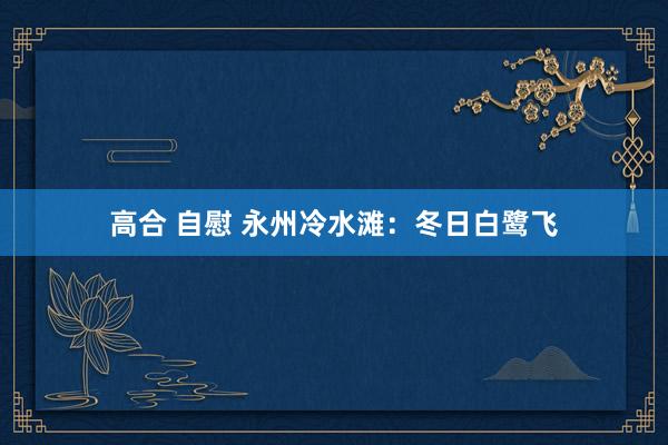 高合 自慰 永州冷水滩：冬日白鹭飞