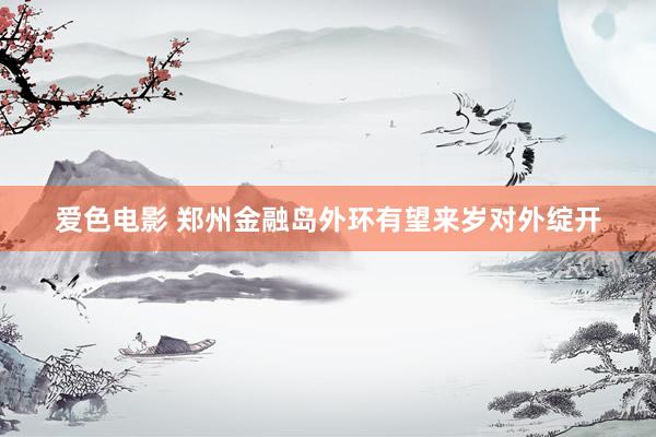 爱色电影 郑州金融岛外环有望来岁对外绽开