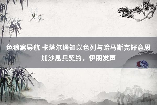 色狼窝导航 卡塔尔通知以色列与哈马斯完好意思加沙息兵契约，伊朗发声