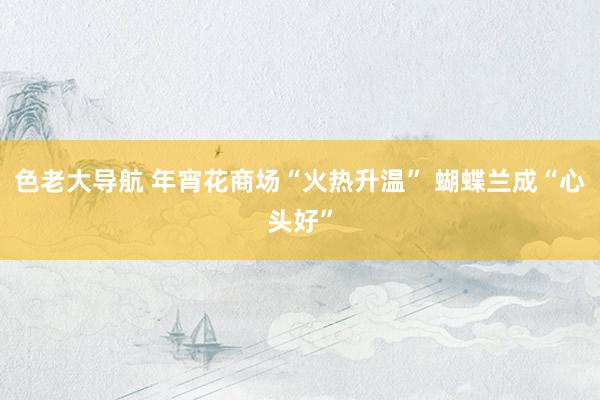 色老大导航 年宵花商场“火热升温” 蝴蝶兰成“心头好”